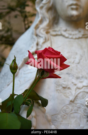 Eine rote Rose vor eine steinerne Statue von La Conquistadora, und die Jungfrau Maria, die in der Kathedrale Basilika des Hl. Franziskus von Assisi in Santa Fe, NM Stockfoto