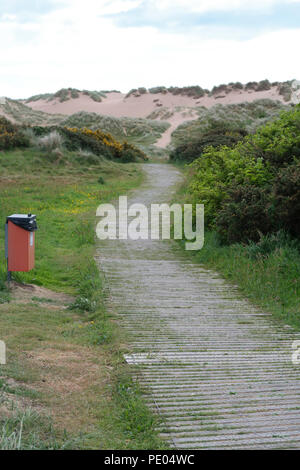 Führender Pfad zu den Sanddünen Stockfoto