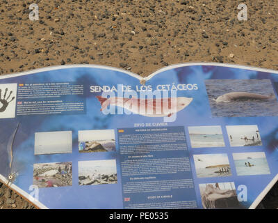 Wal Skelett statue El Cotillo Fuerteventura Stockfoto