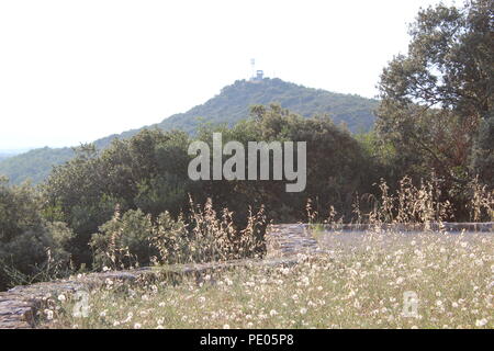 Oppidum Saint Vincent, Gaujac, Frankreich Stockfoto