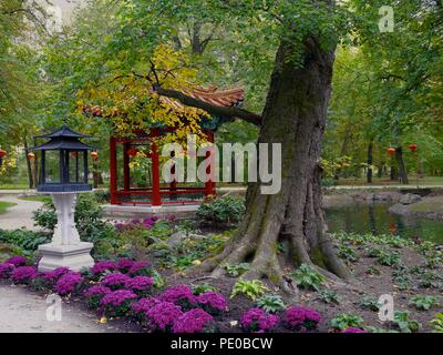 Chinese Garden in Lazienki Park, Warsaw, Poland Stockfoto