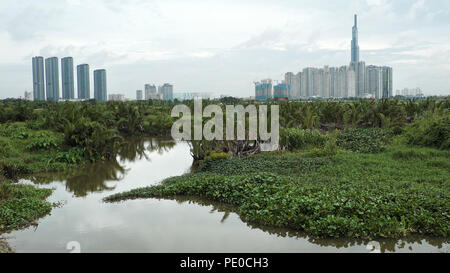 Landmark 81 Blick vom Bezirk 2, höchste Gebäude in Ho Chi Minh City, Vietnam, ein Hochhaus Projekt mit Sumpf voller Nipa und Wasser hyacinch foregr Stockfoto