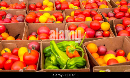 Tomaten in verschiedenen Farben in kleinen Boxen für Verkauf Stockfoto