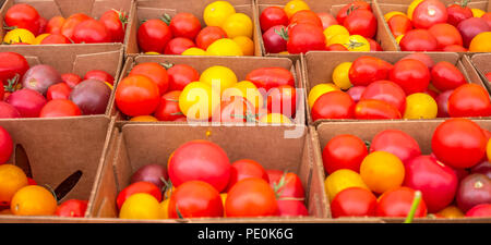 Rote und gelbe kleine Tomaten zum Verkauf Stockfoto