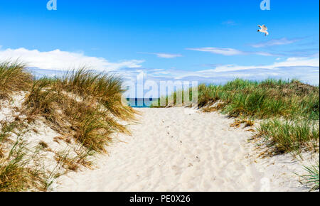 Ostseeküste Prerow Stockfoto