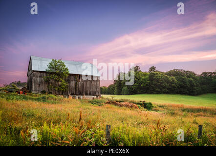 Eine Scheune in der Landschaft mit hohen Gras und Bäume bei Sonnenuntergang. Stockfoto