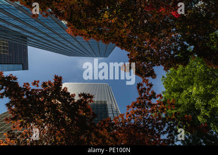 Niedrigen Winkel Ansicht der Wolkenkratzer Stockfoto
