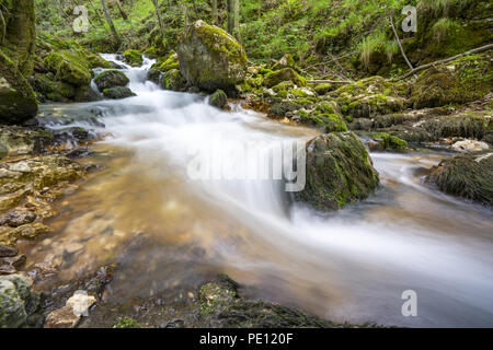 Fluss des Bigar Wasserfall über die Kaskade Rumänien Stockfoto