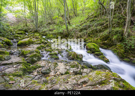 Fluss des Bigar Wasserfall über die Kaskade Rumänien Stockfoto