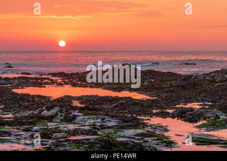 Die Sonne in das Meer bei daymer Bay, Cornwall. Die rosa und gold Licht der untergehenden Sonne ist in den Felsen Pools wider. Stockfoto