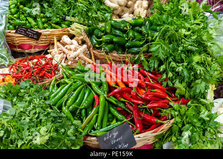 Verschiedene Arten von Chilis und Kräuter für den Verkauf auf dem Markt Stockfoto