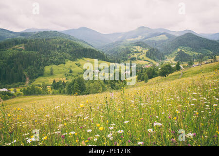 Tolle Aussicht auf Sommer alpine Landschaft in Karpaten, Natur Landschaft mit Wildblumen, motley Gras und grün bewaldeten Bergkette Stockfoto