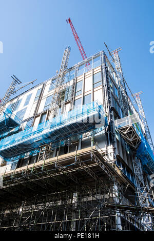 Neue hohes Gebäude im Bau, Sheffield, England, Großbritannien Stockfoto