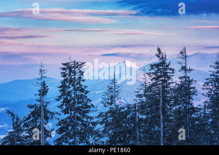 Schönen Winter Berge im Abendlicht, mit Blick auf die höchsten Gipfel der Ukrainischen Karpaten - Hoverla montieren Stockfoto