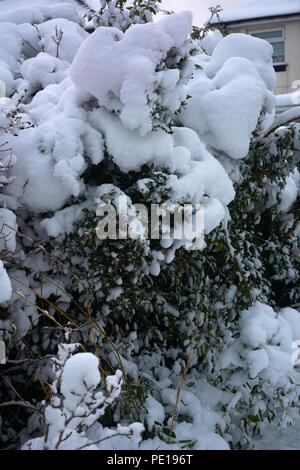 Winter und Kälte Klima Stockfoto