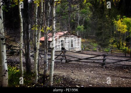 Kabine: Dieses scheinbar verlassenen Hütte ist tief in den Wäldern in der Nähe von Bonanza, Colorado gelegen. Stockfoto