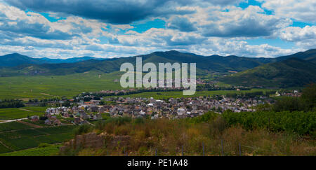 Weinberge im Elsass, Blick von der Soldaten Friedhof in Sigolsheim Stockfoto