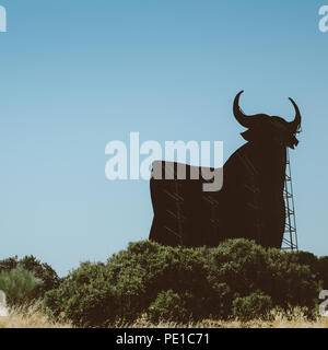 Toro Osborne, iconic Symbol von Spanien, Silhouette von Black Bull auf dem Hügel mit Green Bush im Vordergrund. Stockfoto