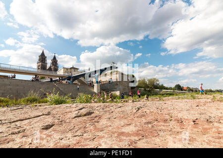 Magdeburg, Deutschland - 10 August, 2018: Blick auf das trockene Flussbett der Elbe in Magdeburg mit dem Dom im Hintergrund. Dürre. Klimawandel. Stockfoto