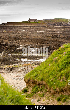 Großbritannien, Wales, Anglesey, Aberffraw, St Cwyfan's Kirche, auf Cribinau Insel vom Meer bei Ebbe umgeben Stockfoto