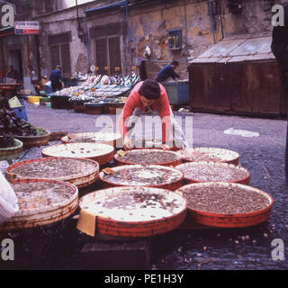 1960, frische Schalentiere in Schalen mit Wasser, das für den Verkauf auf den Boden gelegt, in der Abklingenden zurück Straßen der historischen Hafenstadt Neapel, Italien. Als Händler ihre Stände für die Tätigkeit der Tag bereit. Stockfoto