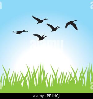 Vögel fliegen Stock Vektor