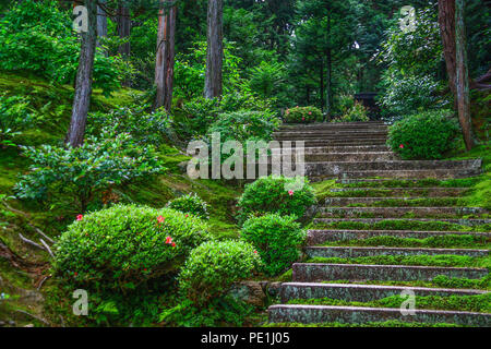 Kyoto, Japan - In der Hauptstadt des alten Japan Es ist möglich, eine atemberaubende Mischung aus tausendjähriger Geschichte und Natur zu finden. Hier der Wald um das InariShrine Stockfoto