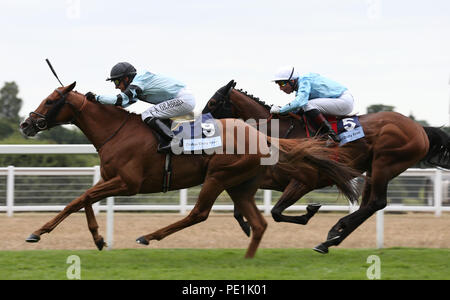 Cleonte geritten von per-anders Graberg führen Sterne über dem Meer und Gerald Mosse home Das Dubai Duty Free Shergar Cup Steher während der Dubai Duty Free Shergar Cup Day in Ascot Pferderennbahn zu gewinnen. Stockfoto