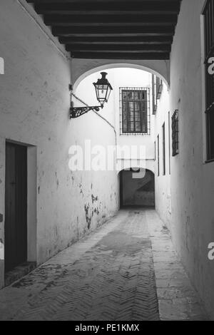 Monochrome einer Straße im Jüdischen Viertel (Juderia) im Viertel Santa Cruz in der spanischen Stadt Sevilla, Andalusien, Spanien Stockfoto