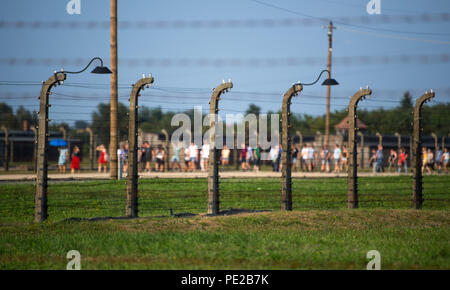 Oswiecim, Polen. 09 Aug, 2018. Blick auf ein Stacheldrahtzaun im ehemaligen Vernichtungslager Auschwitz-Birkenau. Von 1940 bis 1945 hat die SS betrieben mit zahlreichen Nebenlagern des KZ Auschwitz als Vernichtungslager und Konzentrationslager komplex. Credit: Monika Skolimowska/dpa-Zentralbild/dpa/Alamy leben Nachrichten Stockfoto