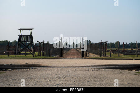 Oswiecim, Polen. 09 Aug, 2018. Anzeigen eines Wachturms, Stacheldrahtzaun und Tracks im ehemaligen Vernichtungslager Auschwitz-Birkenau. Von 1940 bis 1945 hat die SS betrieben mit zahlreichen Nebenlagern des KZ Auschwitz als Vernichtungslager und Konzentrationslager komplex. Credit: Monika Skolimowska/dpa-Zentralbild/dpa/Alamy leben Nachrichten Stockfoto