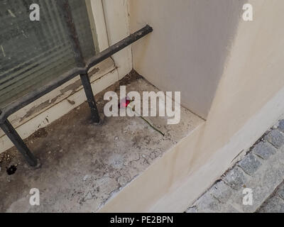 Braunau am Inn, Österreich. 30 Aug, 2017. Haus, wo Adolf Hitler war geboren. Jemanden lassen der Roten auf dem Fenster stieg. Einfache gelbe Haus im Salzburger Vorstadt 15, Braunau am Inn, wo seine Eltern eine kleine Wohnung gemietet, Adolf Hitler am 20. April 1889 geboren wurde. Er wurde später die schlimmsten Verbrecher in der Geschichte. In seinem Geburtshaus in der Österreichischen Stadt Braunau am Inn Sie versuchen ihn zu vergessen. Sie wollen die Neonazis ein Wallfahrtsort von diesem Ort zu vermeiden. Deshalb ist der Staat das Gebäude vom Eigentümer enteignet, Gerlinde Pommer - Angloher, letztes Jahr, und planen es wiederherzustellen Stockfoto