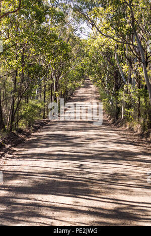 Von Bäumen gesäumten Australische Land ländliche Feldweg von Eukalyptus Gummi Bäumen Stockfoto