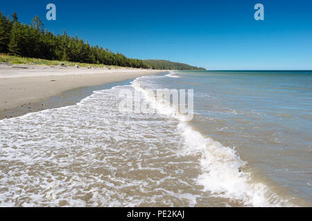 Jungle Beach an einem klaren Sommertag in Haida Gwaii, British Columbia, Kanada Stockfoto