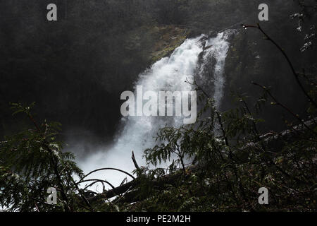 Bügeleisen Creek Falls bei Gifford Pinchot National Forest, Washington Stockfoto