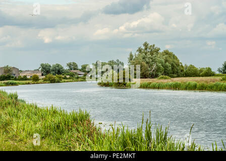 Fens Landschaft am Fluss Great Ouse, auch bekannt als das Fenland, in der Nähe von Ely, Cambridgeshire, England Stockfoto