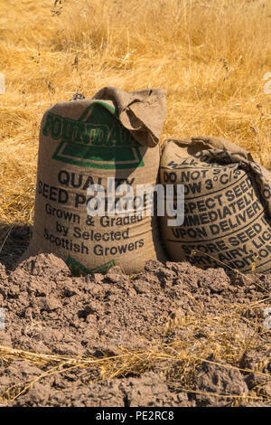 Kartoffel Säcke für getreideernte Welland Worcestershire DE verwendet. Juli 2018 Stockfoto