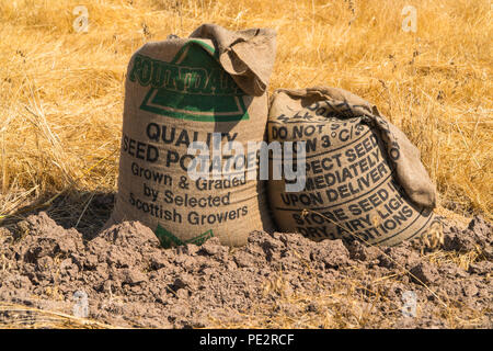 Kartoffel Säcke für getreideernte Welland Worcestershire DE verwendet. Juli 2018 Stockfoto