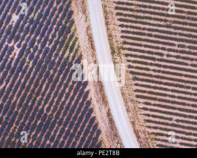 Drone Ansicht von der Straße in die Felder, Antenne geometrische Struktur Landschaft Stockfoto