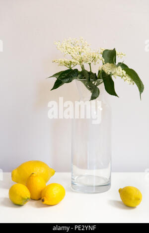 Die Bestandteile von Holunderblüten herzlichen (Wein, Sirup, Sekt, Champagner, Sekt) - Zitronen, Zucker und Elderflowers Stockfoto