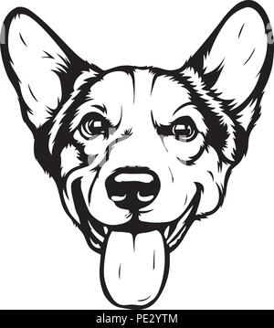 Pembroke Welsh Corgi Hund Hunderasse Haustier Welpen isoliert Kopf Gesicht Stock Vektor