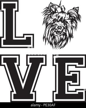 Yorkshire Terrier Yorkie Hund Rasse Haustier Welpen isoliert Kopf Gesicht Stock Vektor