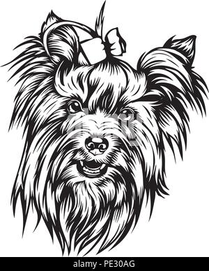 Yorkshire Terrier Yorkie Hund Rasse Haustier Welpen isoliert Kopf Gesicht Stock Vektor