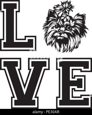 Yorkshire Terrier Yorkie Hund Rasse Haustier Welpen isoliert Kopf Gesicht Stock Vektor