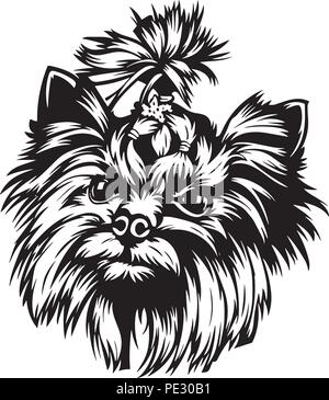 Yorkshire Terrier Yorkie Hund Rasse Haustier Welpen isoliert Kopf Gesicht Stock Vektor