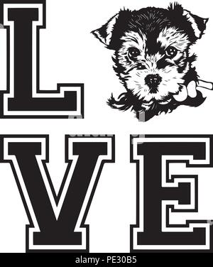 Yorkshire Terrier Yorkie Hund Rasse Haustier Welpen isoliert Kopf Gesicht Stock Vektor