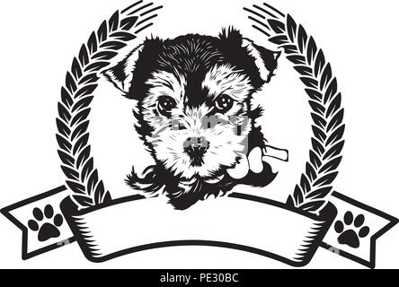 Yorkshire Terrier Yorkie Hund Rasse Haustier Welpen isoliert Kopf Gesicht Stock Vektor