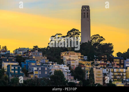 Berühmte San Francisco Coit Tower auf Telegraph Hill bei Sonnenuntergang in Kalifornien, USA Stockfoto