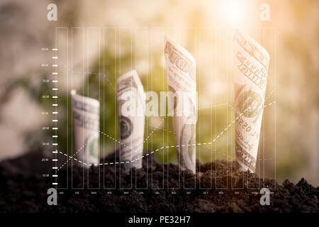 Bank Note aufgewachsen auf Boden mit Finanzen Grafik, Investitionen und Kapital Konzept. Stockfoto