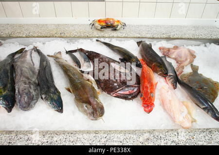Rohe Nahrung Fisch auf Eis in einer fischtheke, Schaufenster Fischreihafen, Fischereihafen, Bremerhaven, Bremen, Deutschland, Europa ich Rohe Speisefische in Eis in Stockfoto